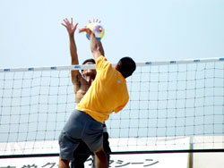 �łƂ��Ȃ����c�B